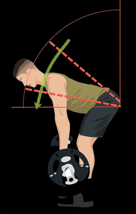 Feb 11, 2019 · Grasp the bar and get in good row position; make sure to brace your core and push your butt back. Pull the bar off the pins and to your torso, just as you would when doing a regular barbell row ... 